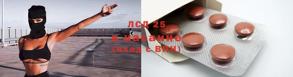 прущий лед Богданович