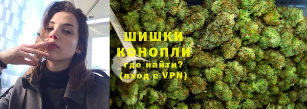 прущий лед Богданович