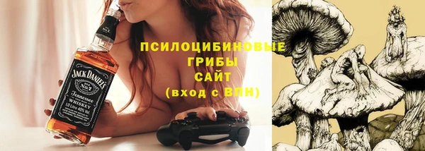 прущий лед Богданович
