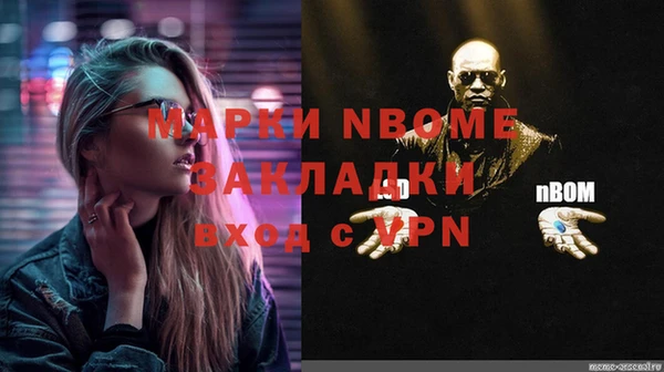 прущий лед Богданович