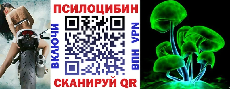Псилоцибиновые грибы Cubensis  где найти   Орск 