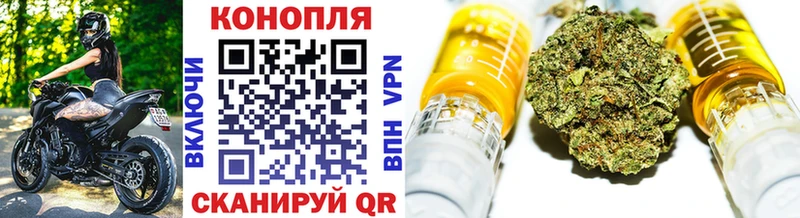 как найти наркотики  hydra онион  Конопля индика  Орск 